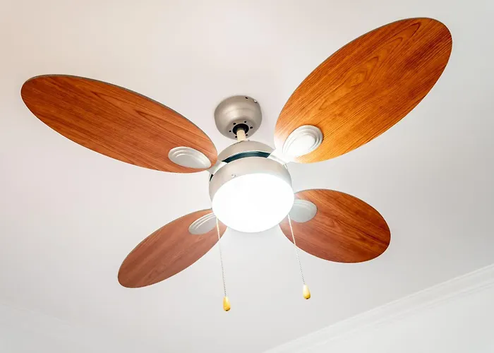 On The Way!* Портиман